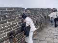 女子在长城刻字 游客拦都拦不住：警方已立案 !