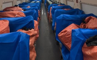 广东荔枝150万吨大丰收 高铁都用上了：每节车厢可装2.5吨 ！