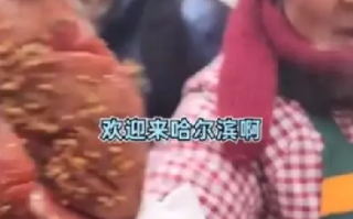 哈尔滨人均夹子音:相亲都没这么夹，要把南方小土豆被宠上天 ！