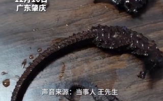 男子发现泡2年的药酒里海马竟是塑料! 直言：觉得又气又好笑，幸亏喝完身体没有什么不适！