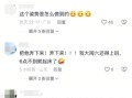 一只猫咪在大树上安逸睡觉 吹着小风很惬意 网友：这姿势咋“解锁” !