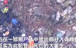日本一棕熊尸体内发现人体残骸：验尸后确认为此前登山死亡的大学生 ！