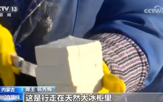 内蒙古大姐吐槽天太冷像冰柜里走路 ！直言：棉袄里套羽绒服 ！