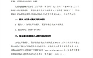 加大股票回购力度：王传福提议将回购金额增加一倍 ！