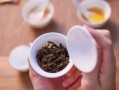 乌龙茶有哪些品种（盘点不同品种的乌龙茶有哪些特征） ！