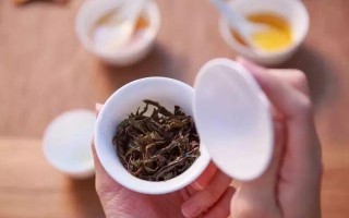 乌龙茶有哪些品种（盘点不同品种的乌龙茶有哪些特征） ！