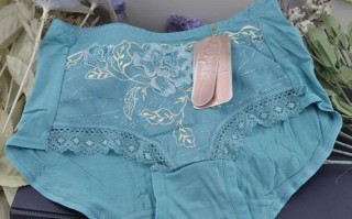 女士内裤排名前十品牌（内裤质量好最舒服的10个品牌）