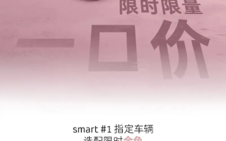 14.99万起买奔驰！smart精灵#1/3推限时限量一口价 ！