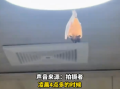 开饭了！网友家中惊现“大菊头蝠”：M码翅膀包不住XXL身体 ！