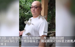 男版香妃 游客引来蝴蝶落满身！景区工作人员：身上香一点，蝴蝶自会来！