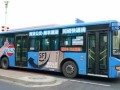 多地城市公交车上演“自救行动”：白天拉客 晚上拉货 !