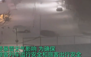 鹅毛大雪漫天飞!部分旅客列车停运：河南郑州凌晨发布暴雪红色预警！