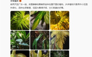 雷军回应送张颂文小米SU7：这就是张老师喜欢的橄榄绿 4月3日开始交车 ！