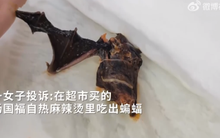 女子投诉杨国福麻辣烫吃出蝙蝠！杨国福回应：记录后反馈给相关部门处理 ！