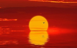 大范围寒潮来袭：这些地方累计降温20℃起步！27℃秒变1℃ ！