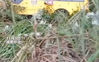 湖南一校车坠下山坡 有学生受伤：无人员死亡 ！