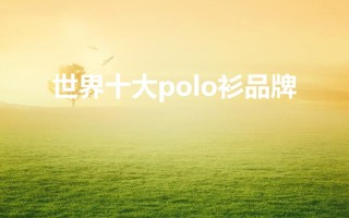 世界十大polo衫品牌（polo衫奢侈品牌有什么牌子）