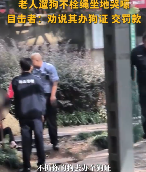 老人遛狗不栓绳被查抱狗痛哭 ！目击者：劝说大妈去办狗证并交罚款 ！-第1张图片