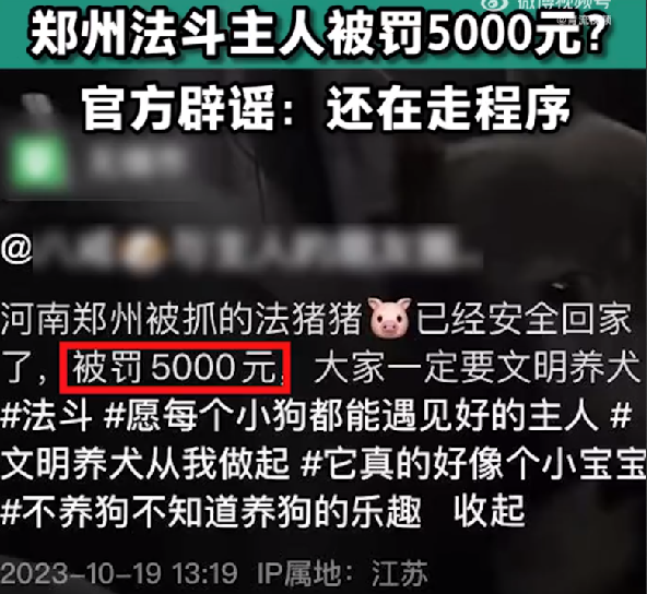 官方辟谣郑州法斗主人被罚5千：还在走程序，具体罚多少还不知道 ！-第1张图片