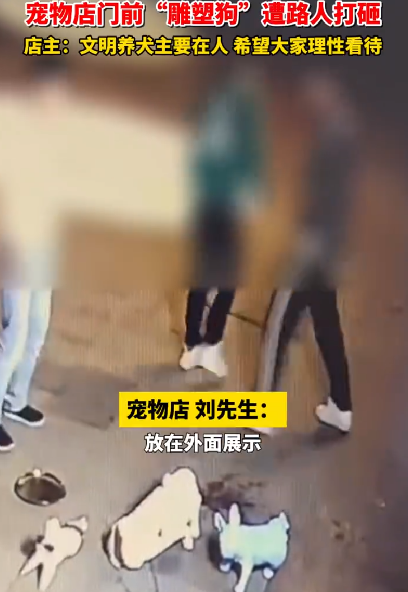 宠物店前雕塑狗遭人打砸 店主气炸：不能理解这种行为 ！-第1张图片