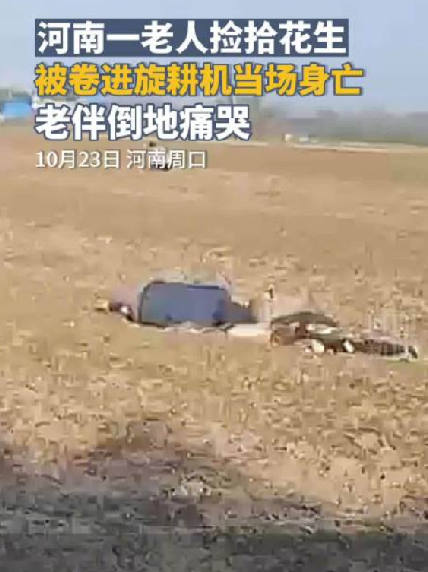 捡花生身亡老人家属回应恶评：“人家花生已经收完，不要了，那不是抢” ！-第1张图片