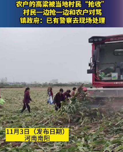 河南村民“抢收”高粱 与农户对骂 ！​镇政府：已有警察去现场处理 ！-第1张图片