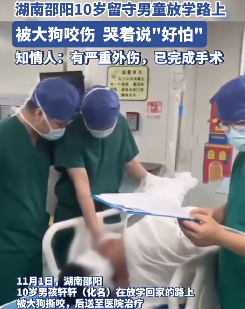 遭大型犬咬伤男童家属众筹10万元：后期相关赔付到位后，如有剩余将退还给捐款人 ！-第1张图片