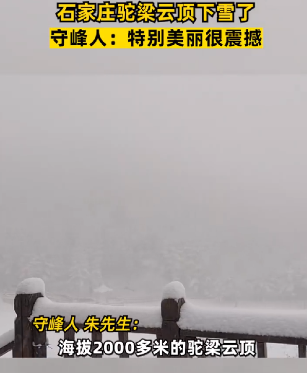 石家庄驼梁云顶下雪了 ！守峰人：觉得特别美丽特别震撼，瑞雪兆丰年 ！-第1张图片