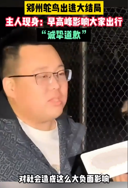 郑州鸵鸟出逃大结局 主人现身致歉：公鸵鸟‘寻妻心切’上了高架 ！-第1张图片