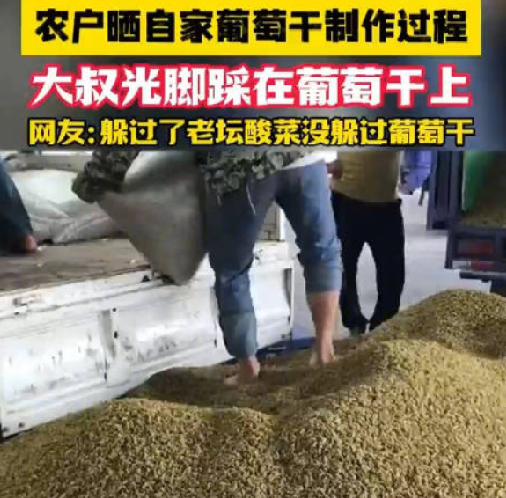 农户赤脚踩自家售卖葡萄干惹争议 ！​网友纷纷表示惊恐：我吃葡萄干从来不洗 ！-第1张图片