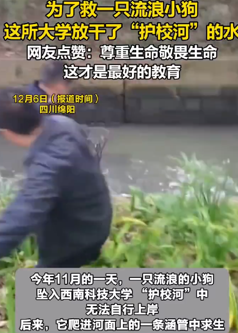 为了救小狗大学放干了护校河的水 ！网友：这才是高校应该有的态度，这才是最好的教育 ！-第1张图片