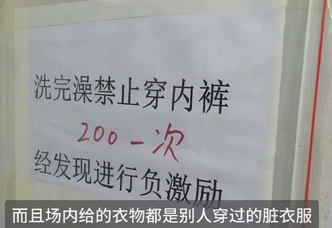 猪场饲养员洗澡后穿内裤罚款200！养殖场回应：场地有配备一次性内裤和全新内裤 ！-第1张图片
