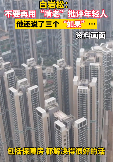 白岩松：不要再用“啃老”批评年轻人 引发网友共鸣 ！-第1张图片