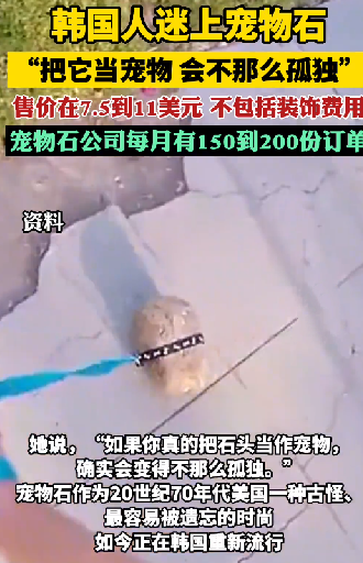 韩国年轻人迷上养石头：把小石头当作倾诉对象 ！-第1张图片