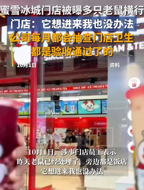 蜜雪冰城门店多只老鼠横行 门店：旁边都是饭店 很正常 它想进来我也没办法 !-第1张图片